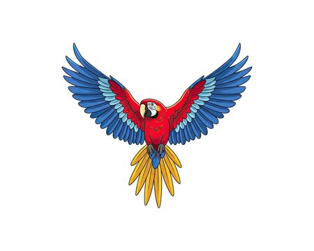 Bright red and blue macaw parrot with spread wings, flying high in the sky, a tropical bird