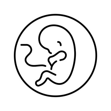 Pregnancy fetus icon. Healthcare and obstetrics line symbol. Black and white.