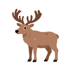 Fototapeta premium A cartoon-style caribou with brown fur, dark hooves, and large antlers stands against a white backdrop in a vector illustration.