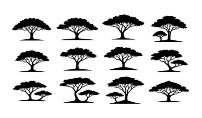Acacia tree silhouette icon collection black vector on white background © MST JUTHI AKTER