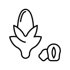 Obraz premium Wheat grain icon. Food and grain line symbol. Black and white.