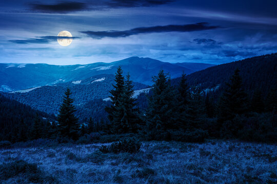 Mountain Landscape. Slope Of Mountain Range With Coniferous Forest