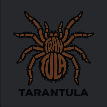 Brown Tarantula Closeup Illustration.