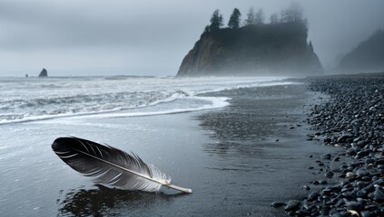Fototapeta premium A black feather rests upon a dark sand beach, while waves pound the shore near misty cliffs and a forest