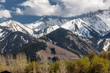 Fototapeta premium Landscape, mountain, peak, snow, plant, clubs, trees, forest,