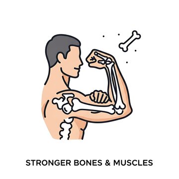 Illustration of a man with strong bones and muscles, healthy body.