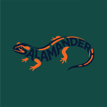 Salamander Orange Amphibian Creature.