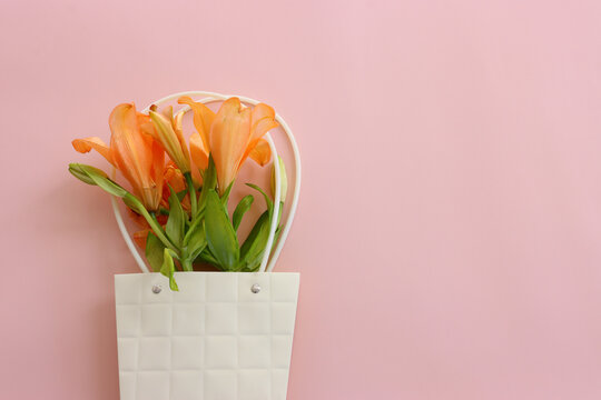 beautiful and soft flowers over pink pastel background