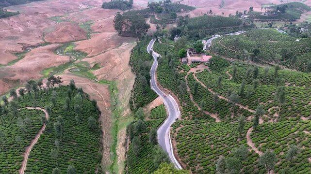 Cinematic aerial view of Valparai showcasing lush tea plantations spread across rolling hills, with a winding mountain road cutting through vibrant green landscapes and dense forest patches.