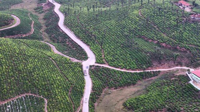 Cinematic aerial view of Valparai showcasing dense tea plantations forming patterned green textures across rolling hills, with a winding road intersecting the landscape and vehicles moving through.