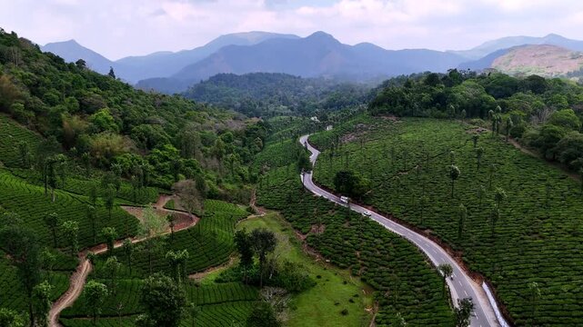 Cinematic aerial view of Valparai showcasing winding mountain roads cutting through lush tea plantations, with layered hills and misty mountains forming a dramatic backdrop.
