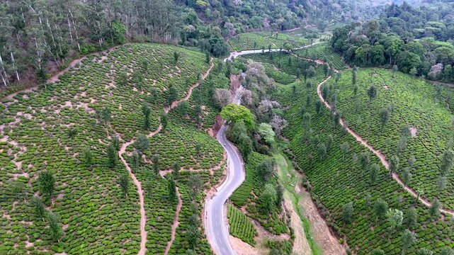 Wide cinematic aerial of Valparai highlighting intersecting hillside roads, expansive tea gardens, and textured green slopes, creating a visually rich and tranquil natural landscape.