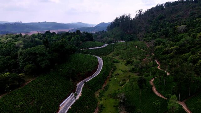 Drone shot capturing the scenic beauty of Valparai with serpentine roads, dense green tea estates, forest patches, and distant mountain ranges under soft natural light.