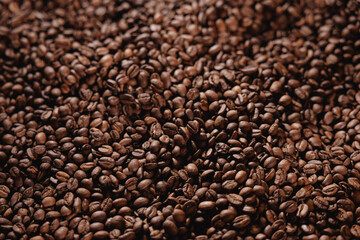 Fototapeta premium Coffee beans heaped densely in shallow focus Texture, top view