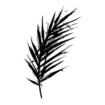 tropical palm leaf branch silhouette with ink splatter effects