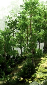 Sunlight gently streams through the dense canopy in a vibrant forest. Tall trees stand proudly while lush greenery carpets the ground, creating a peaceful and serene atmosphere.