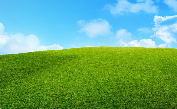 Sunny green meadow under blue sky with soft clouds