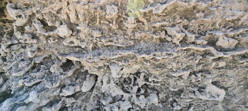Detailed view of a unique porous limestone rock formation. The intricate, weathered texture showcases natural geological erosion patterns and organic mineral structures by the sea.
