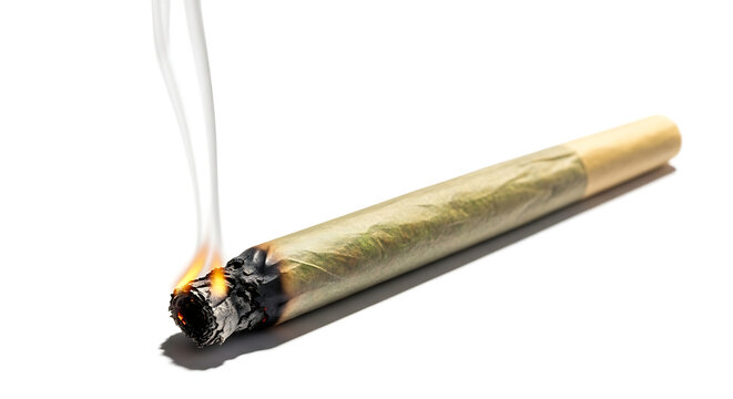marijuana joint burning with smoke on white background