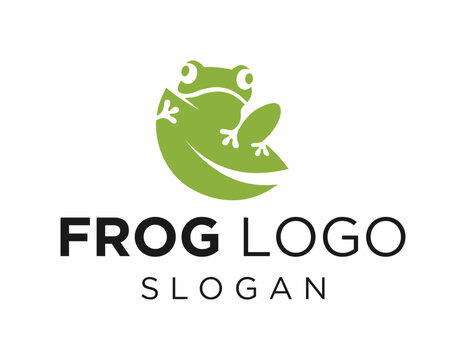 The logo design is about Frog and was created using the Corel Draw 2018 application with a white background.