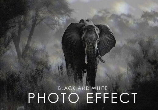 Black And White Photo Effect