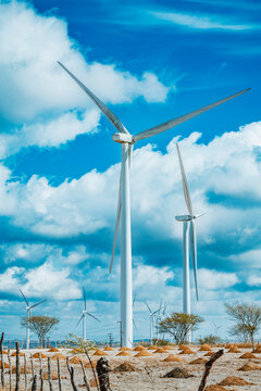 Wind turbines under clear blue sky in Venturosa, Pernambuco, Brazil