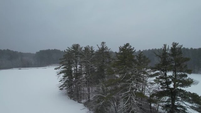 Aerial flyover of snow-covered trees on frozen lake in Harold Parker State Forest, Massachusetts