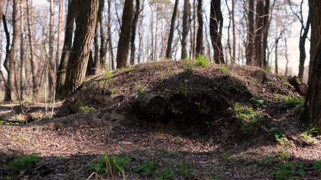 Soldiers dug a trench and a defensive trench in the forest. A battlefield during the war in Europe. Earth and wood protection for an army soldier. A shelter and cave during a political crisis