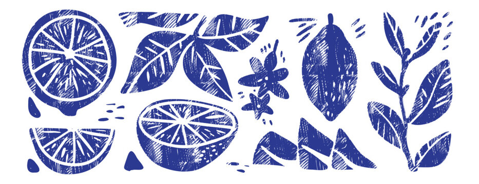 Hand-drawn Mediterranean lemon illustration set in blue linocut style. Botanical citrus fruits, leaves, and blossoms with a grunge, rustic aesthetic. Ideal for summer design, menus, and posters