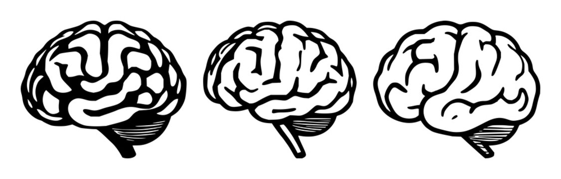Brain icon set with solid black shapes on white background featuring learning, knowledge, memory with neuroscience and education