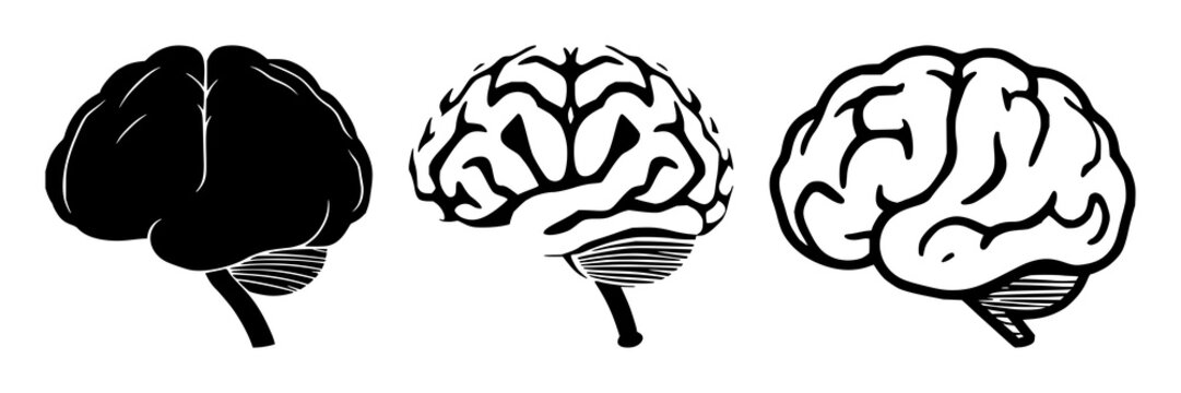 Brain icon set with solid black shapes on white background featuring learning, knowledge, memory with neuroscience and education