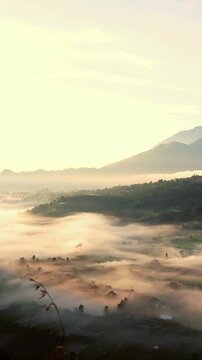 Pinggan Village Sunrise: Ethereal Morning Mist and Volcanic Vistas in Kintamani