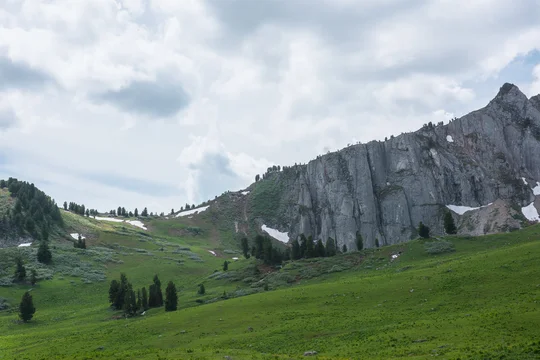 Mountain Landscape. Slope Of Mountain Range With Coniferous Forest