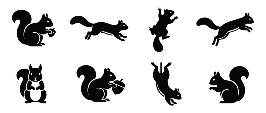 Collection of squirrel animal silhouettes in various dynamic poses, including jumping, sitting, and holding an acorn.