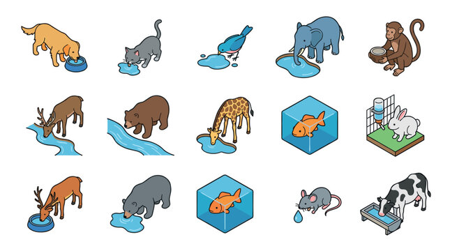 Cartoon animals drinking water from various sources like bowls, puddles, rivers, and troughs, illustrating hydration and animal care.