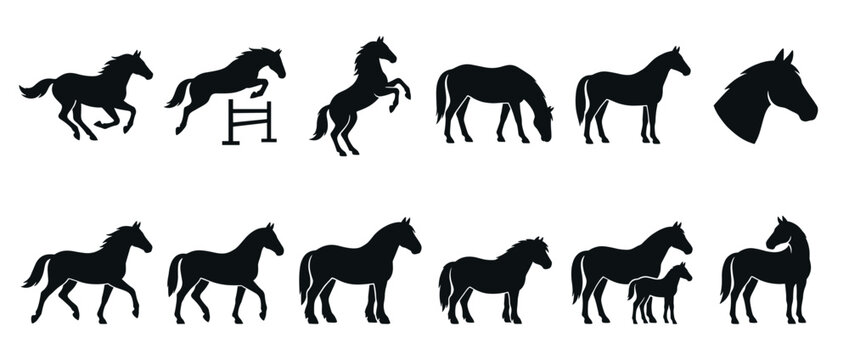 Horses silhouettes collection showcasing various poses and actions including running, jumping, rearing, grazing, and standing, with a foal and a horse head.