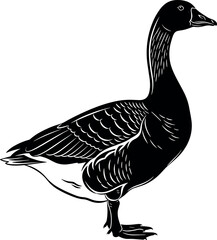 Detailed black and white vector illustration of a standing goose in vintage engraving style for nature and wildlife design projects. © BIPUL