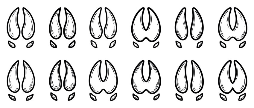 Animal hoof prints vector illustration set featuring various cloven hooves and tracks from different wildlife species.