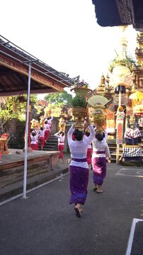 Mepeed Ceremony: Graceful Processional Heritage and Community Devotion in Bali