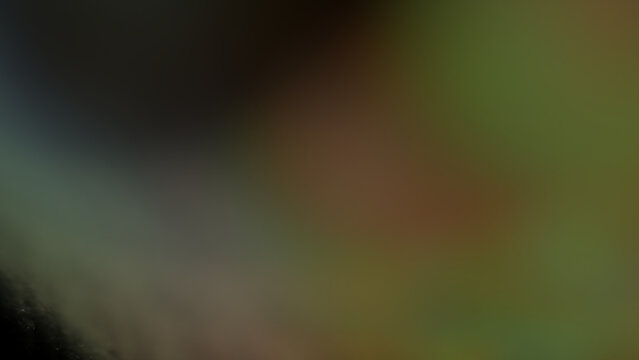 Abstract blurred background with dark green, brown, and olive color gradient, soft focus, and smooth color blend for digital design projects.