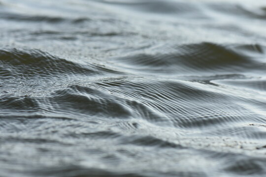 Water surface with ripples and waves. Close-up view