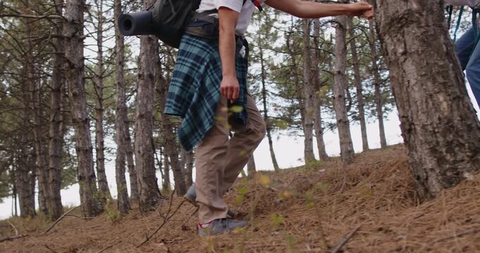 Hikers couple with backpack climb forest trail. Tourists help each other up a steep slope, showing teamwork, trust, and resilience in outdoor adventure. Travel and hihking in nature concept. 
