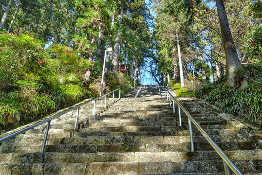 山梨県身延町にある身延山久遠寺の三門から本堂へと続く、杉林に囲まれた急勾配な石段「菩提梯」/Bodaitei: The Steep Stone Stairs Surrounded by Cedar Trees Leading to the Main Hall of Minobusan Kuonji Temple