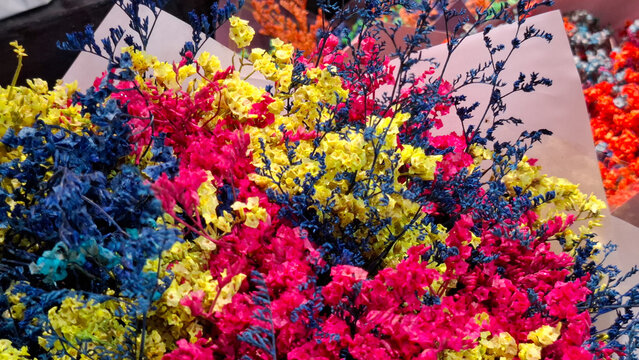 Vibrant bunch of dried statice flowers also known as sea lavender used for everlasting floral arrangements and home interior decoration