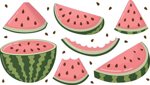 Set of assorted watermelon pieces and seeds. Illustration with half fruit, triangular slice, semi‑circular wedge, quarter piece and bitten slice