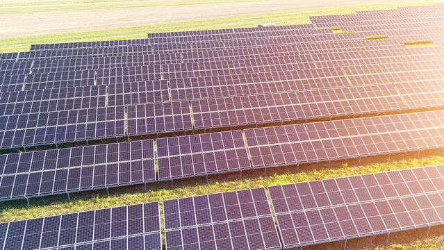 Evening sun over solar panel field