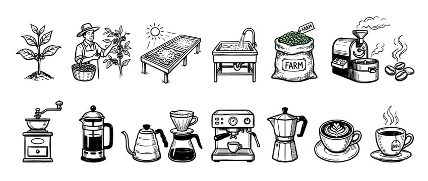 Set of hand-drawn coffee production icons showing the entire process from farm to cup, including a plant, farmer, roaster, grinder, and various brewing methods