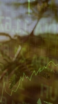 Camera shifting, branch swaying, dotted graph rising in steps, luminous bar rising, showing growth