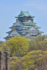 Naklejka premium 大阪城の桜