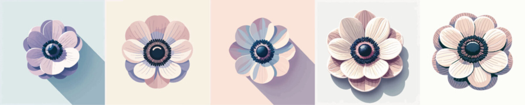 Vector of anemone flower
